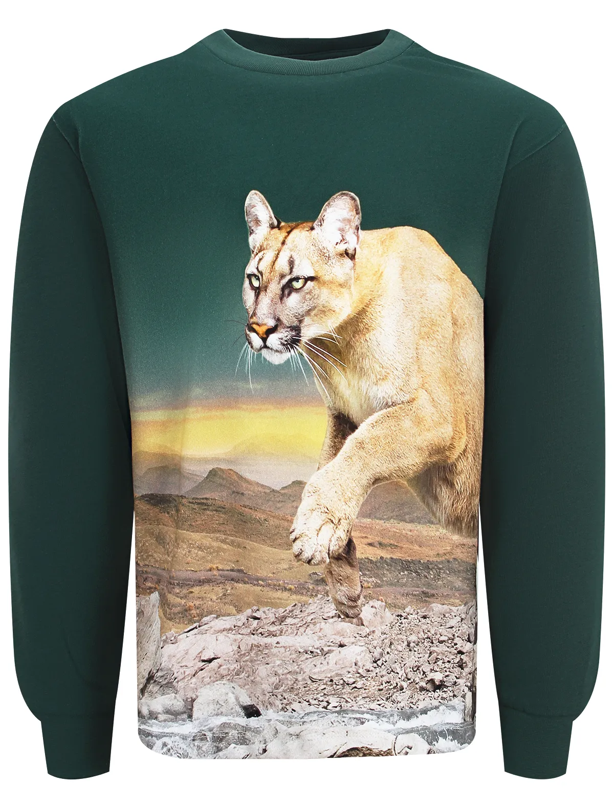 

Лонгслив Molo, Зеленый, 2692276