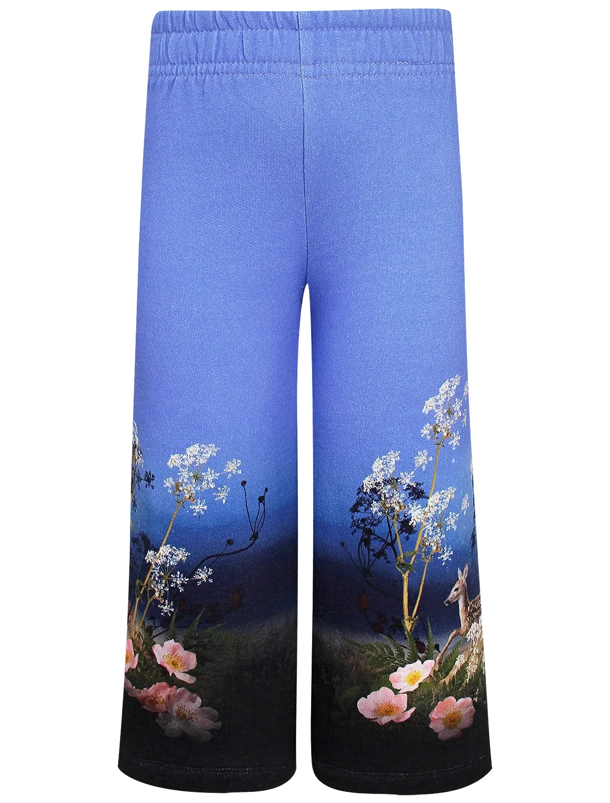 

Брюки спортивные Molo, Голубой, 3047579