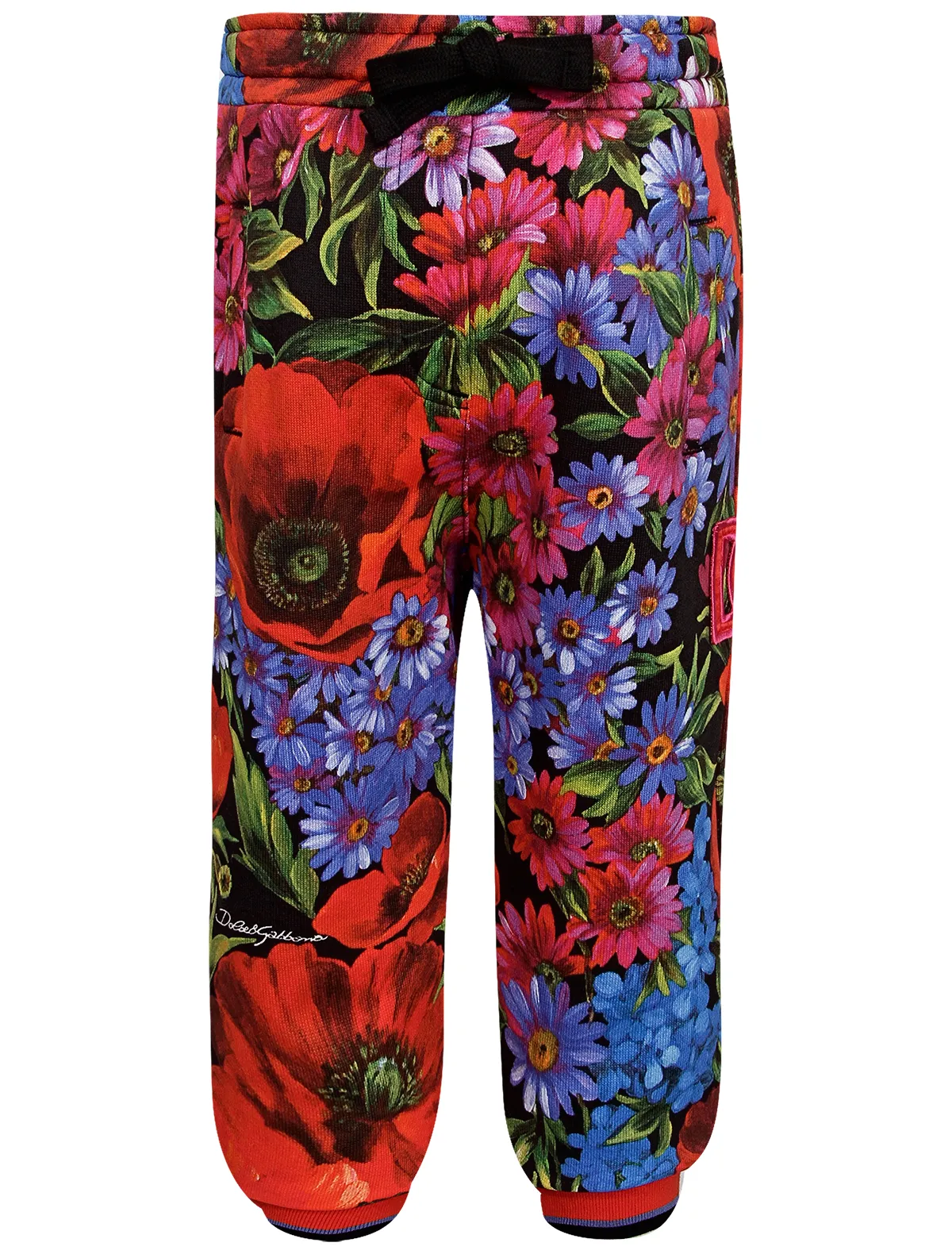 Брюки спортивные Dolce Gabbana 16725₽