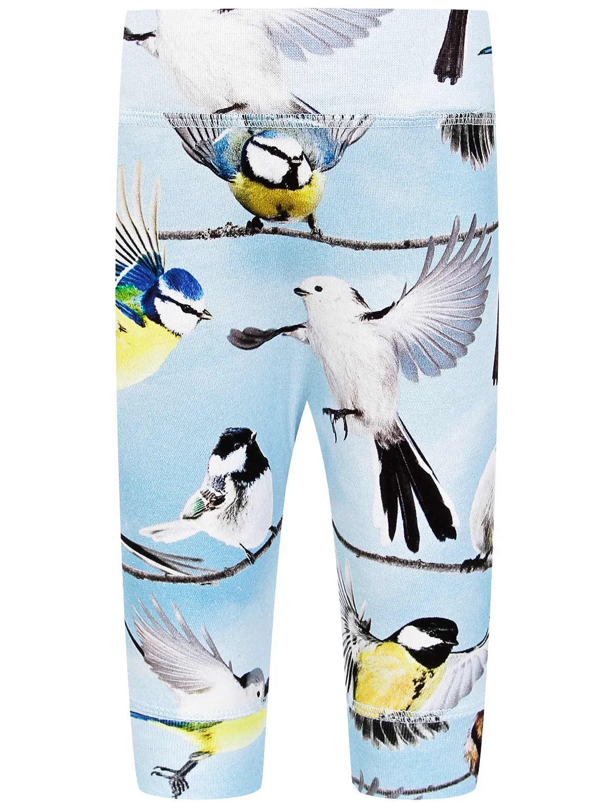 Брюки спортивные Molo 3080₽