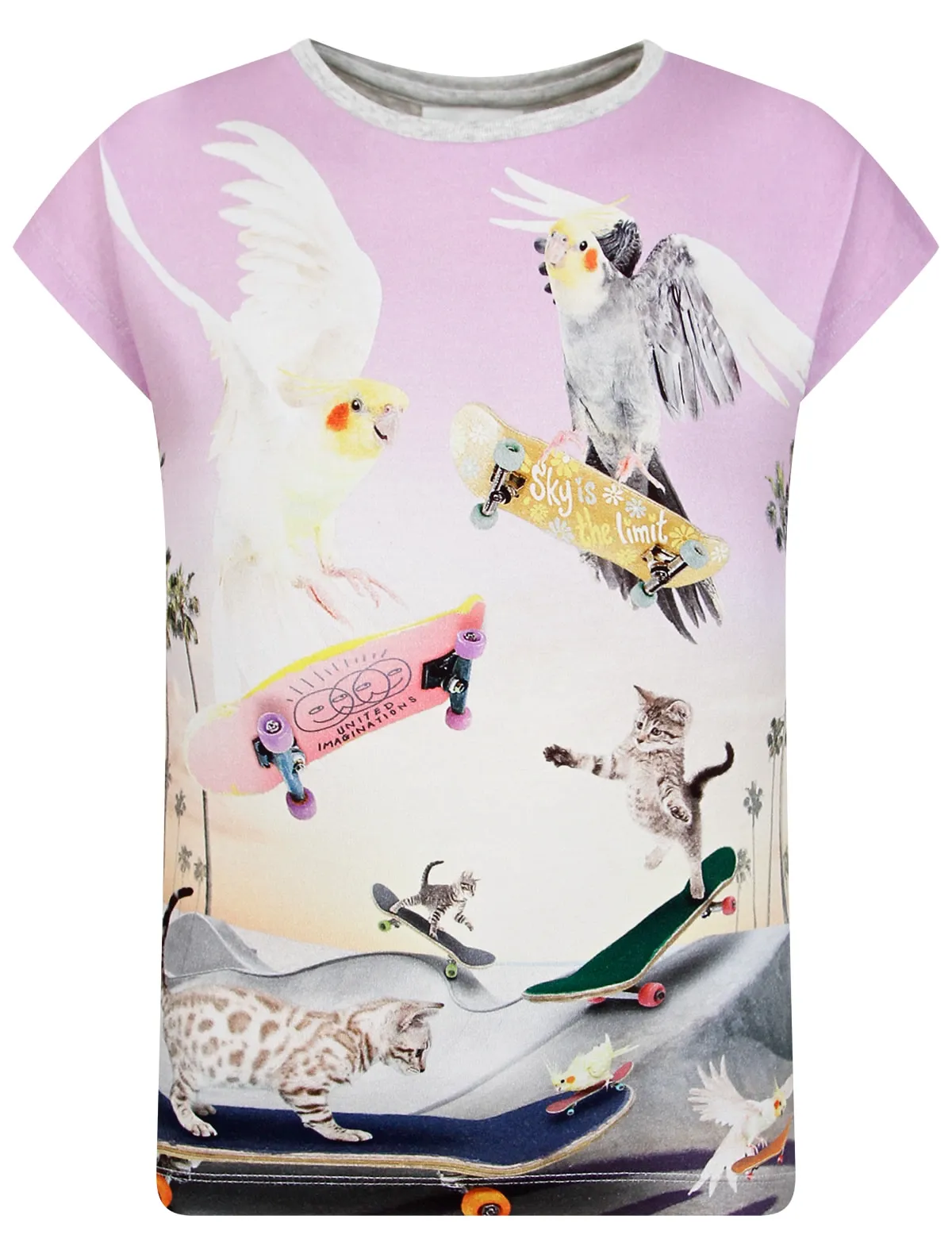 

Футболка Molo, Серый, 2424074