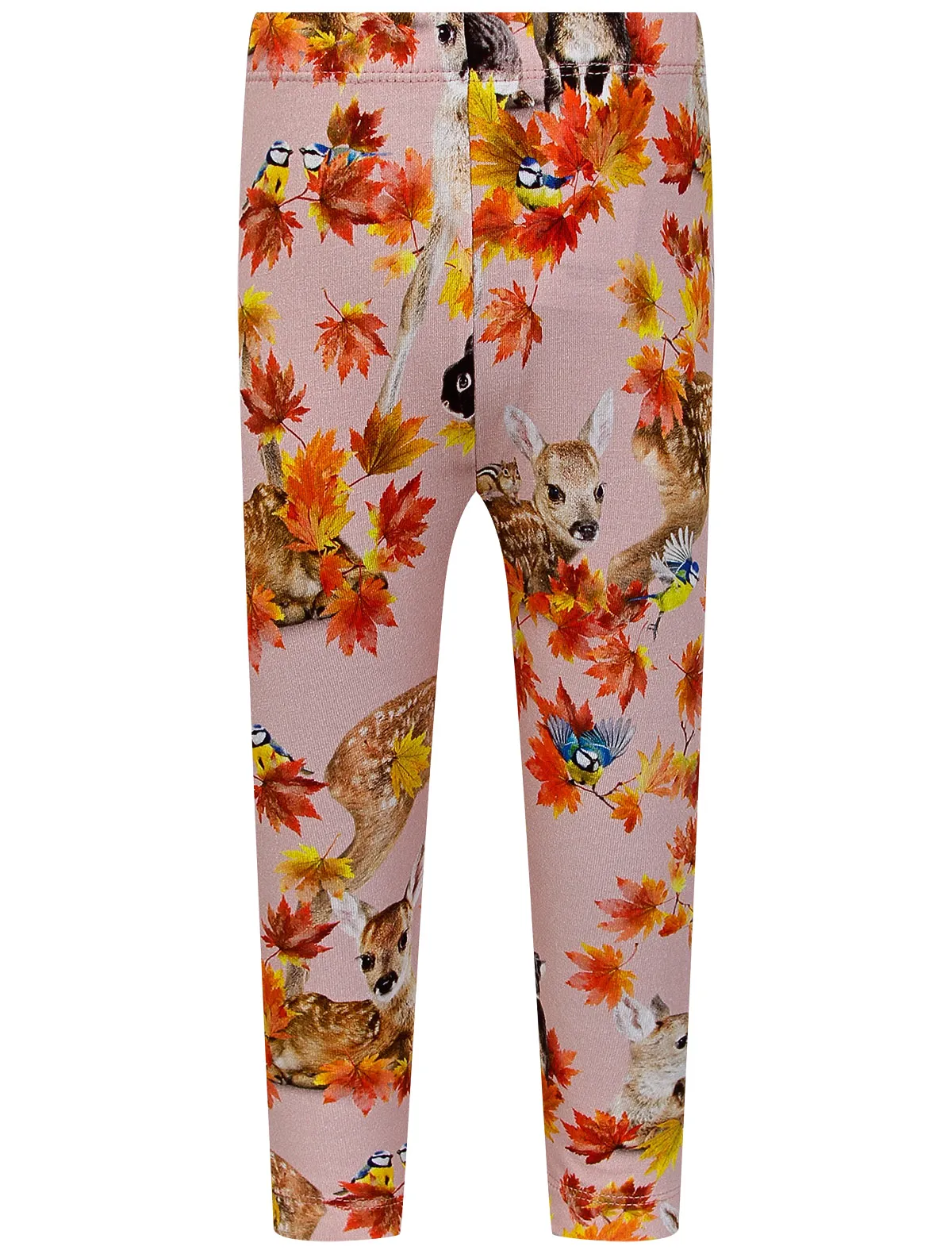 

Леггинсы Molo, Розовый, 2329385