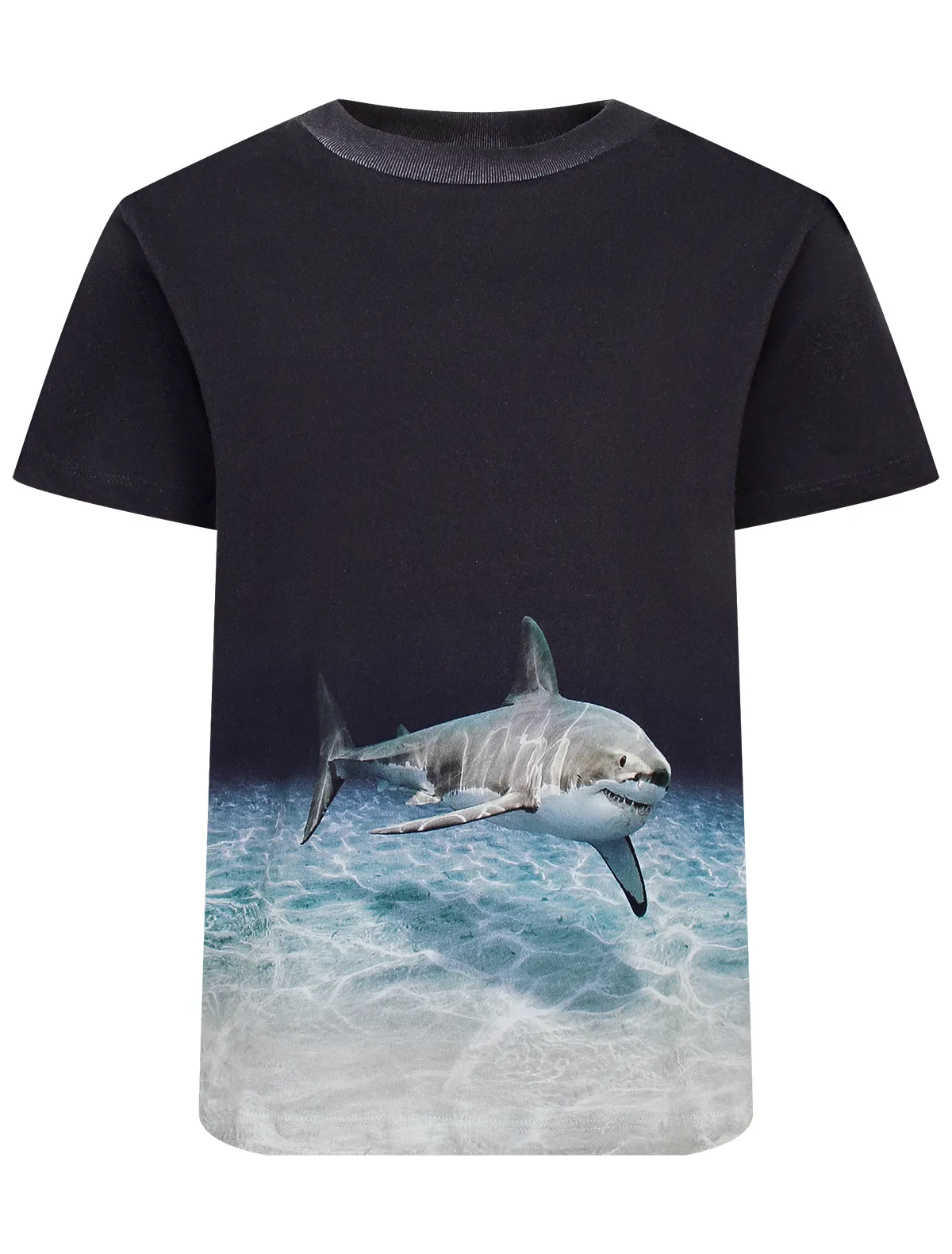 

Футболка Molo, Синий, 2744734