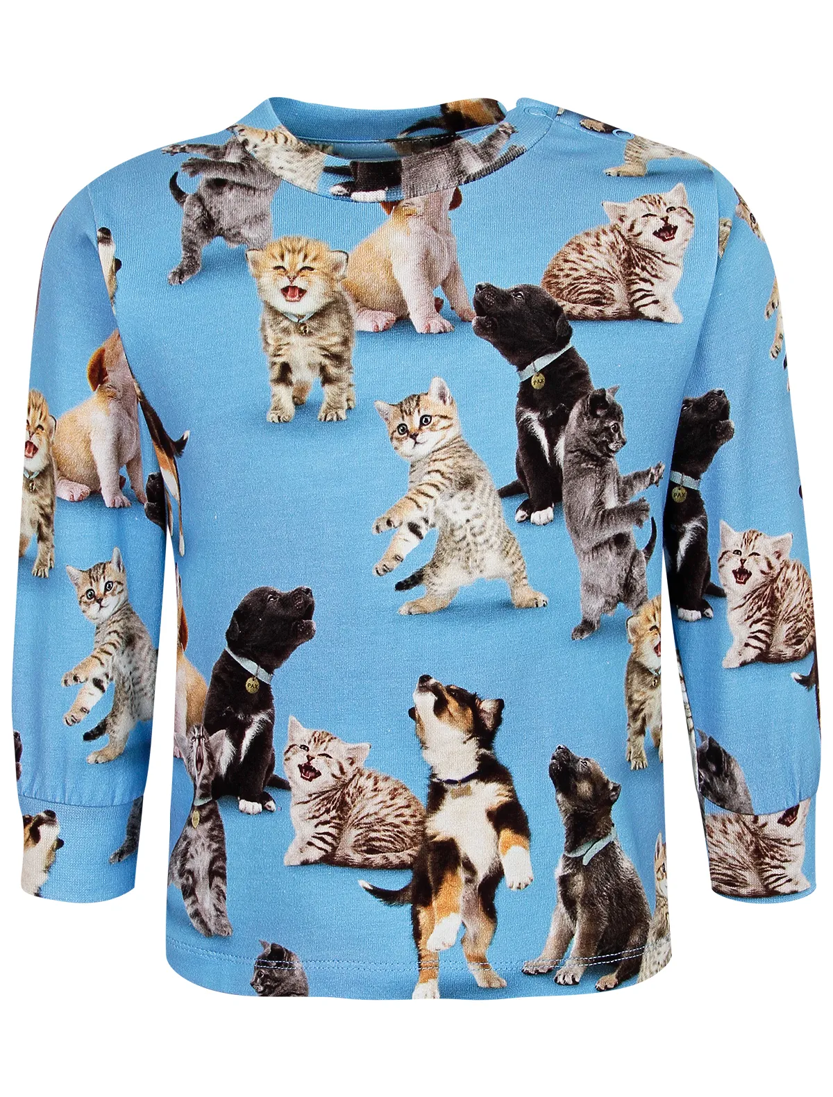 

Лонгслив Molo, Голубой, 2640450