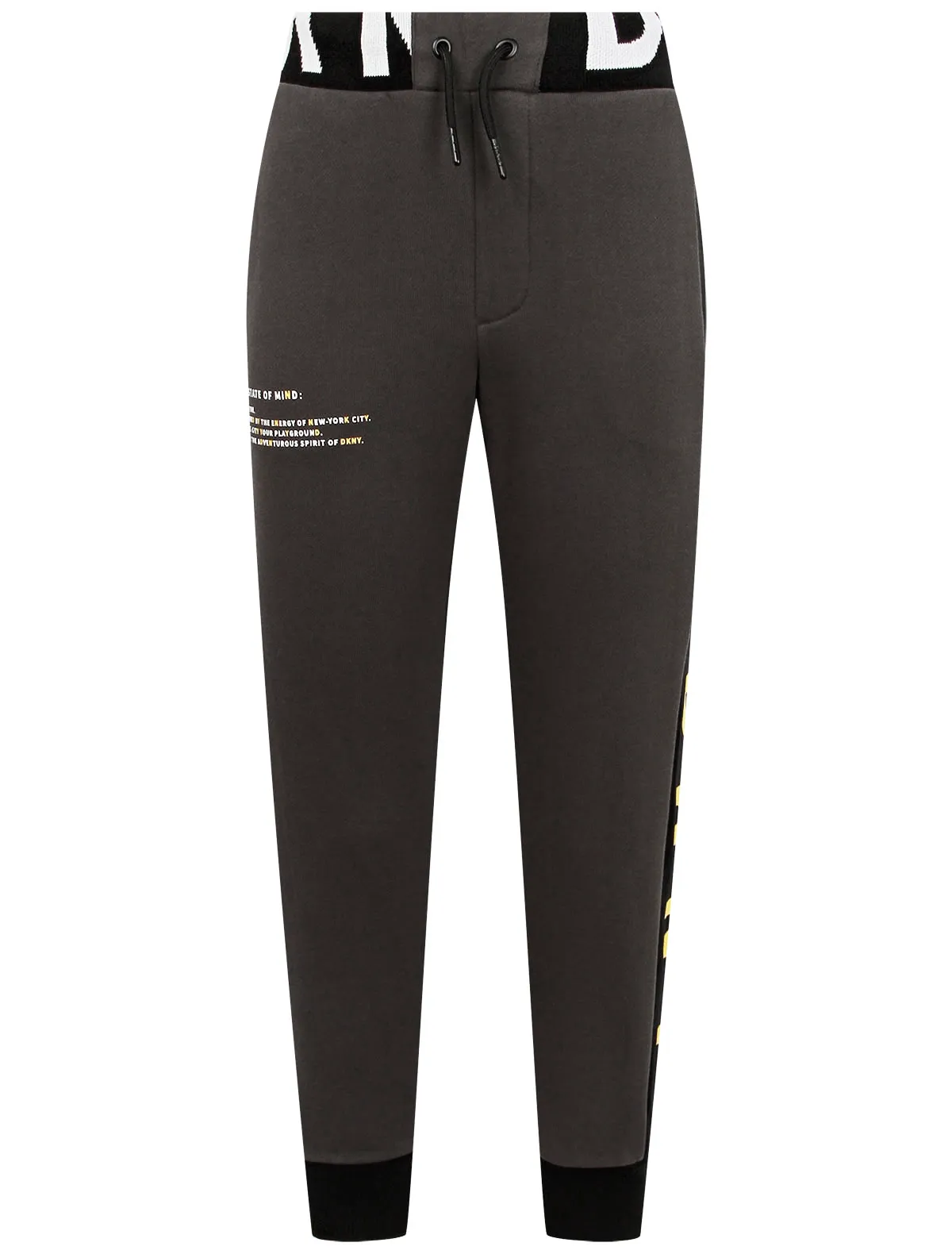 Брюки спортивные DKNY 7819₽