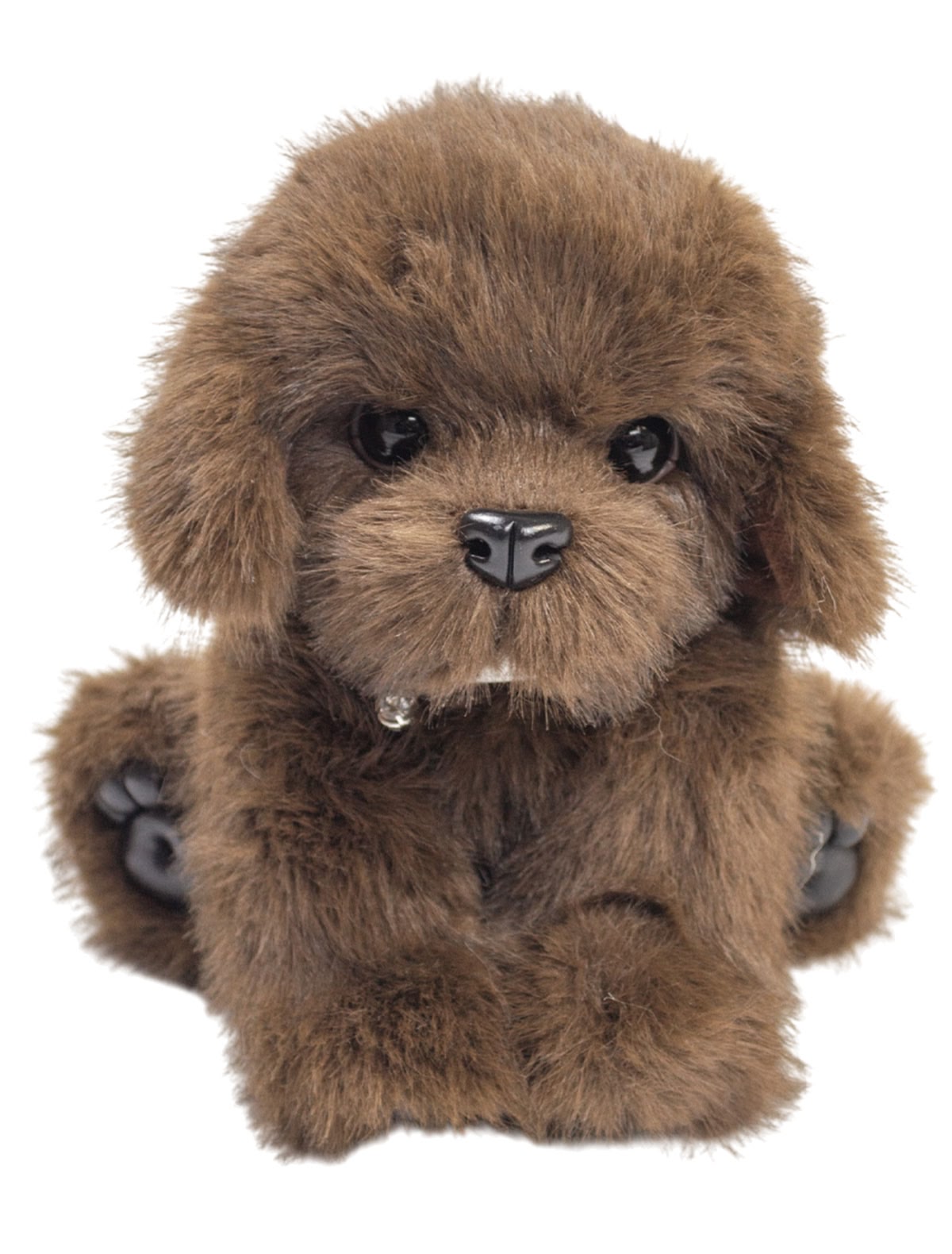 Собачка тедди