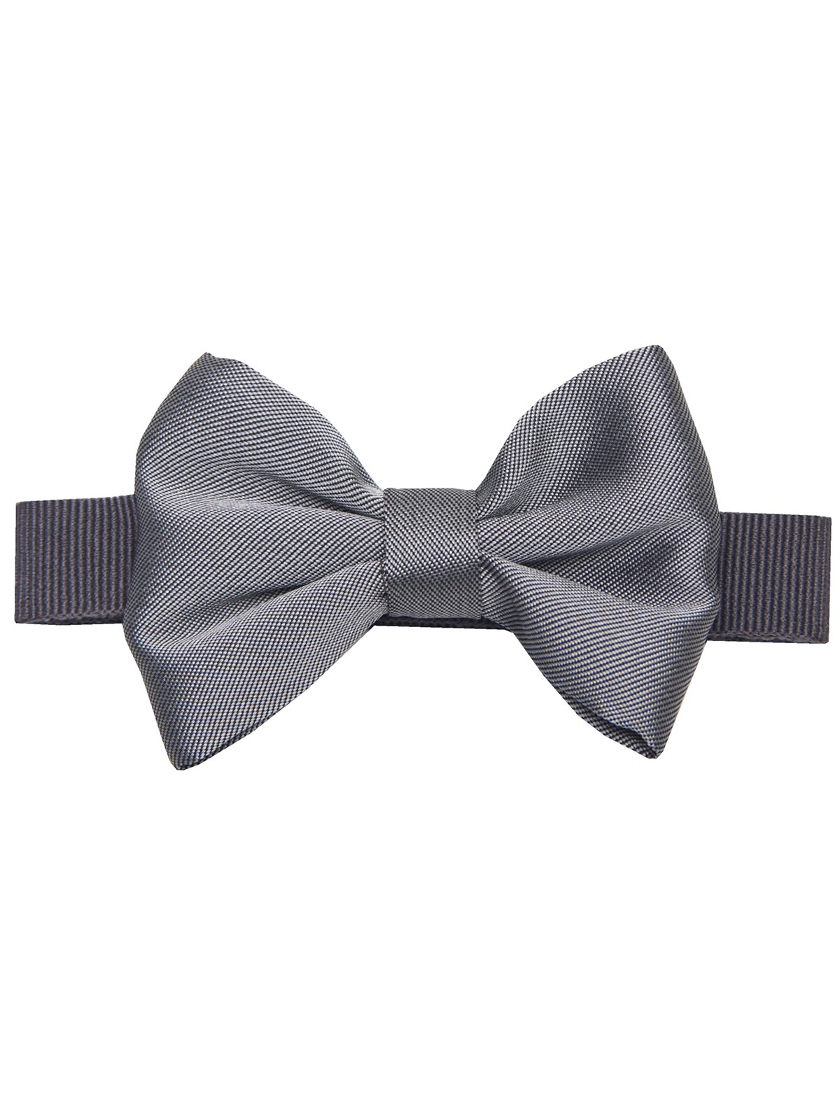 Серая классическая бабочка