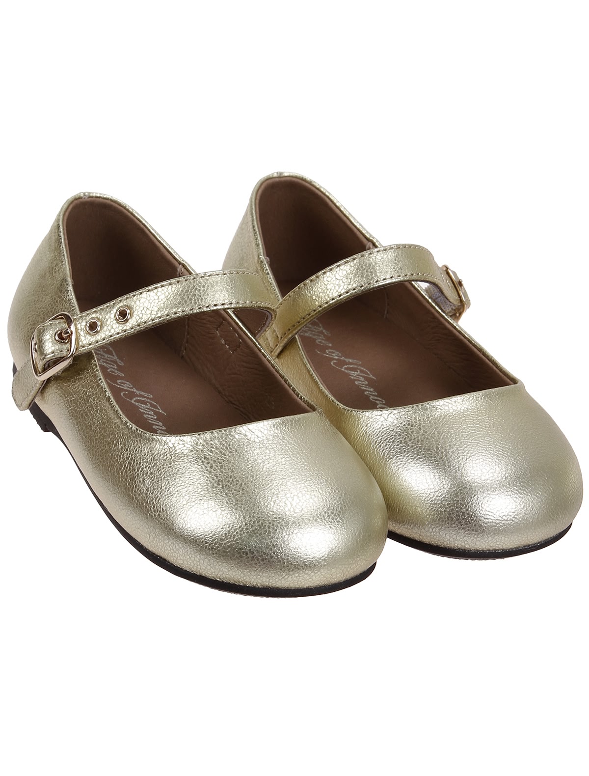 Золотые балетки