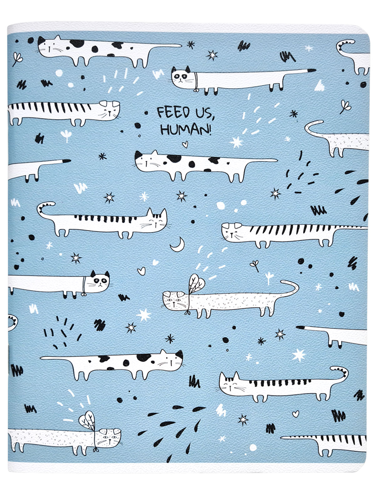 Тетрадь общая Кошки, 165х203 мм, 48 л., клетка