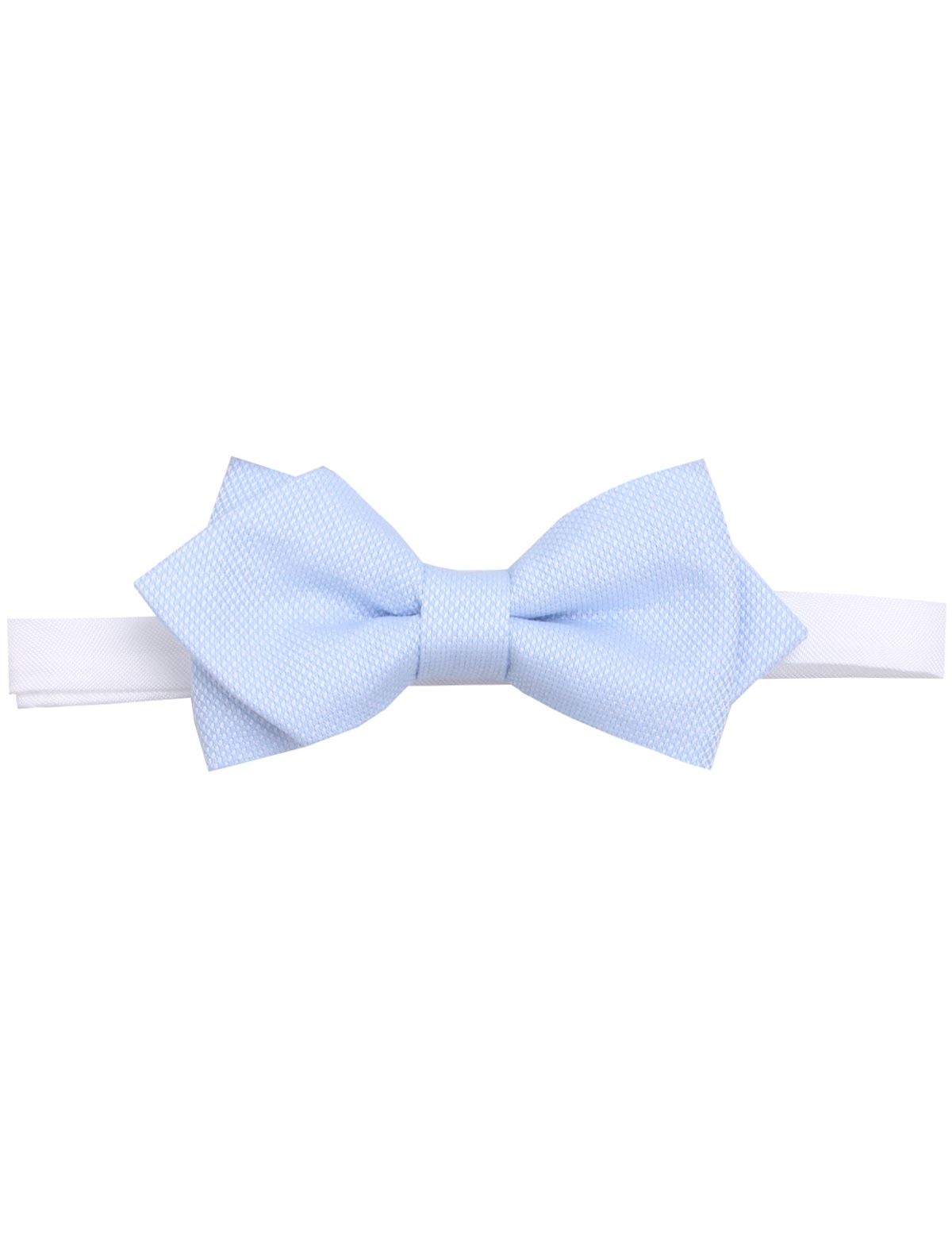 Небесно-голубая бабочка