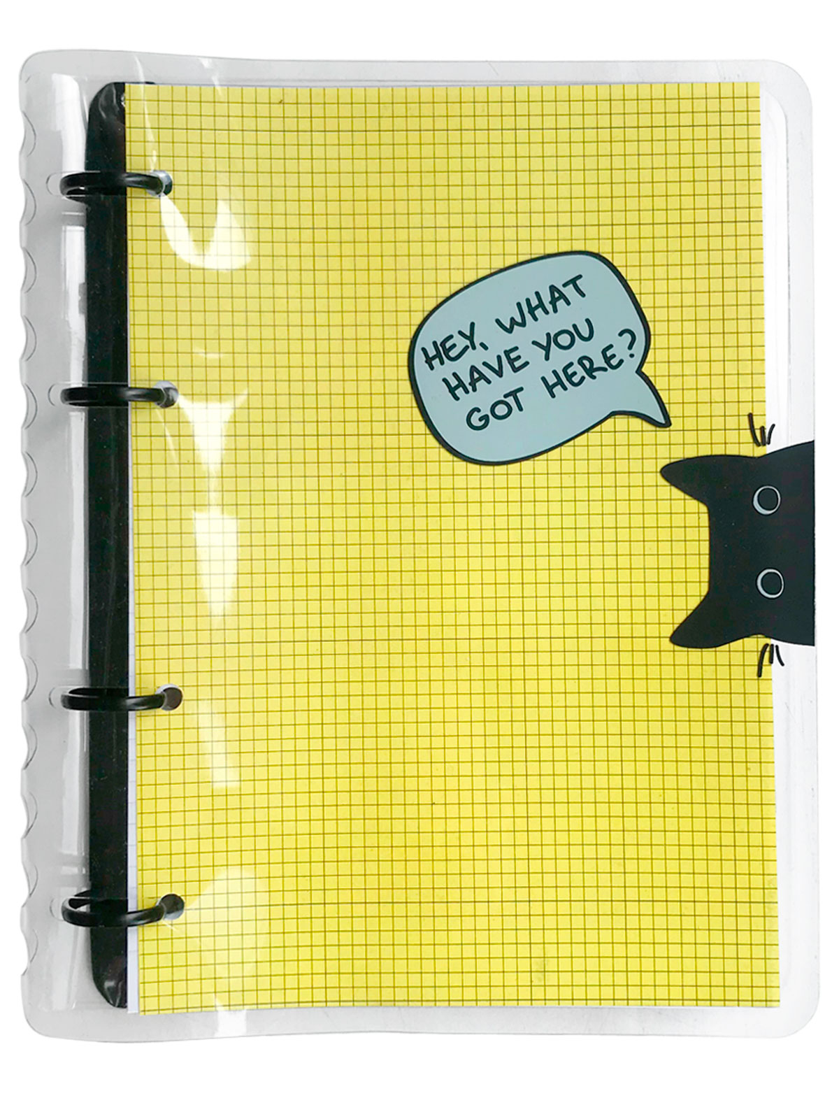 Тетрадь с прозрачной обложкой 173х212 мм, 120 л., клетка