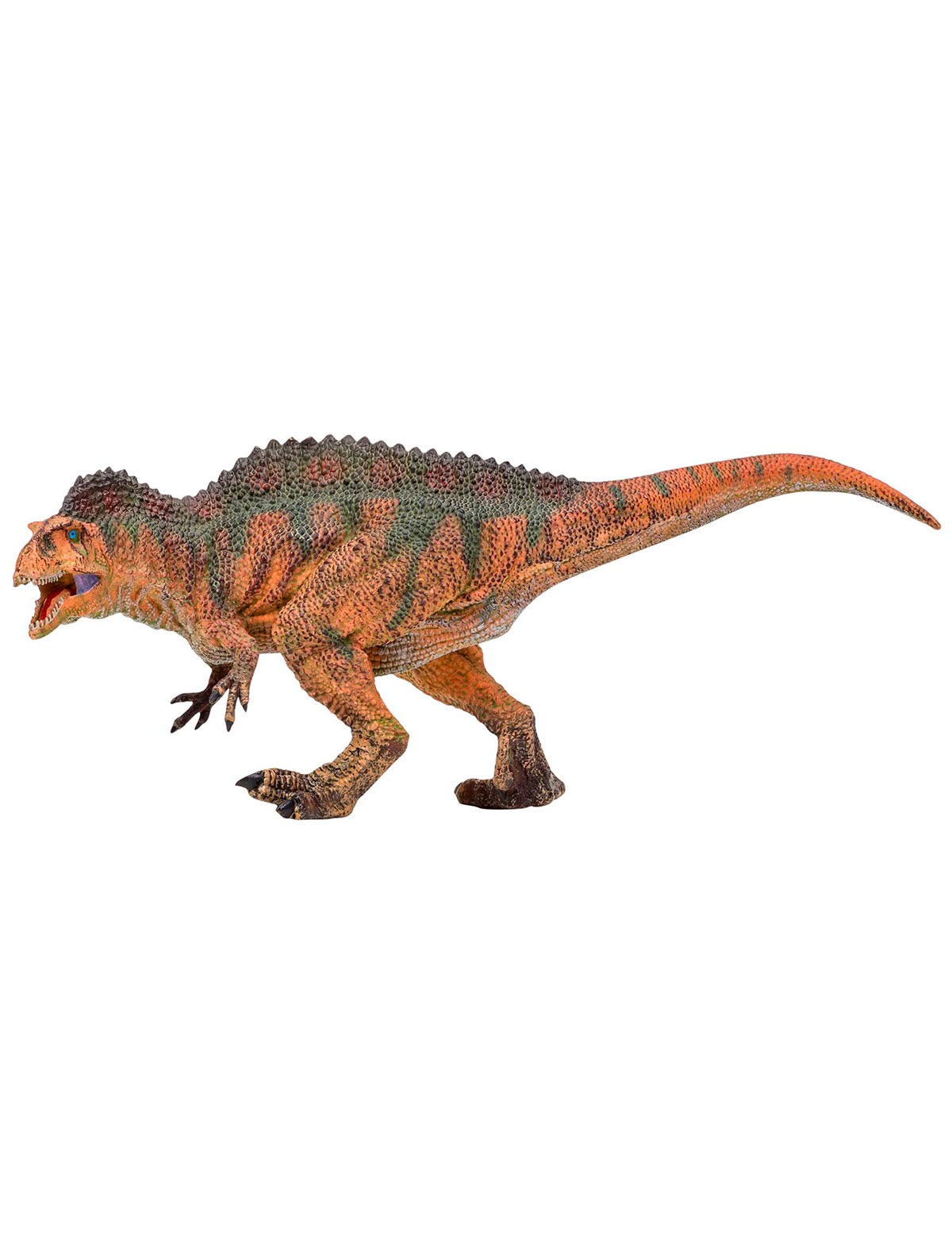 Акрокантозавр, 25 см