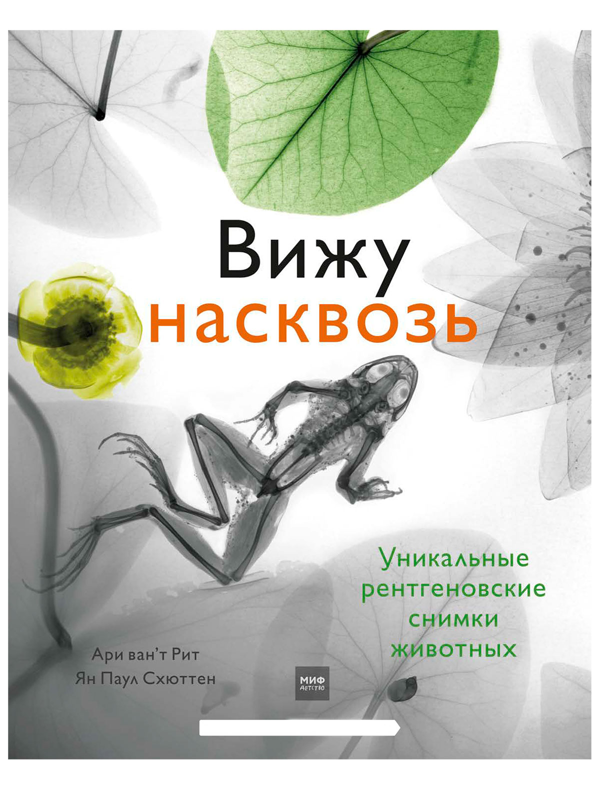 

Книга МИФ, 2510774