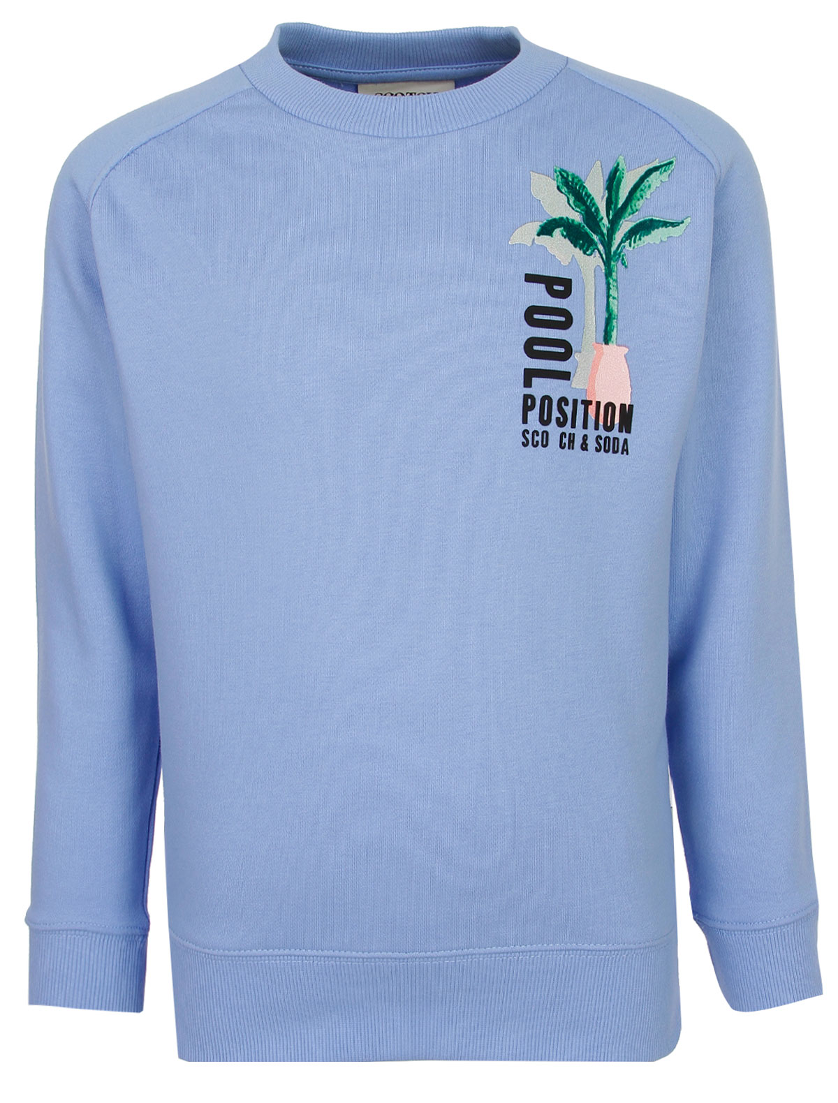 Свитшот с пальмой