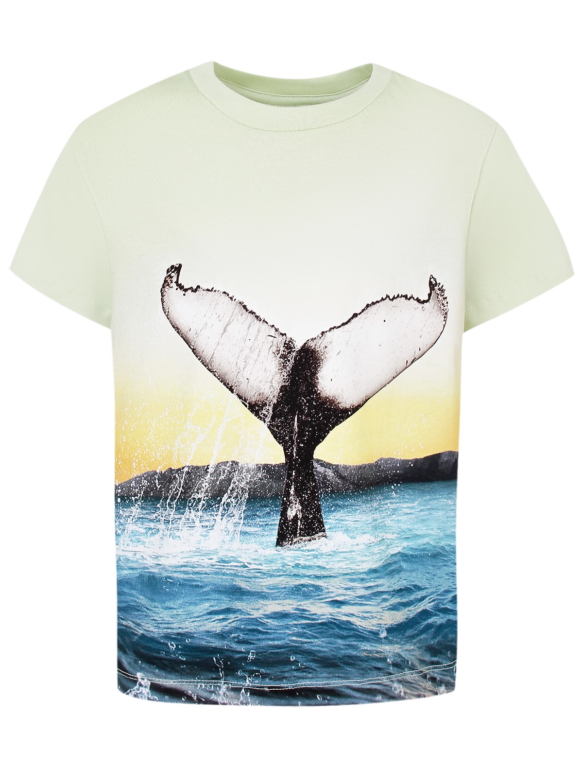 Футболка с принтом хвост кита