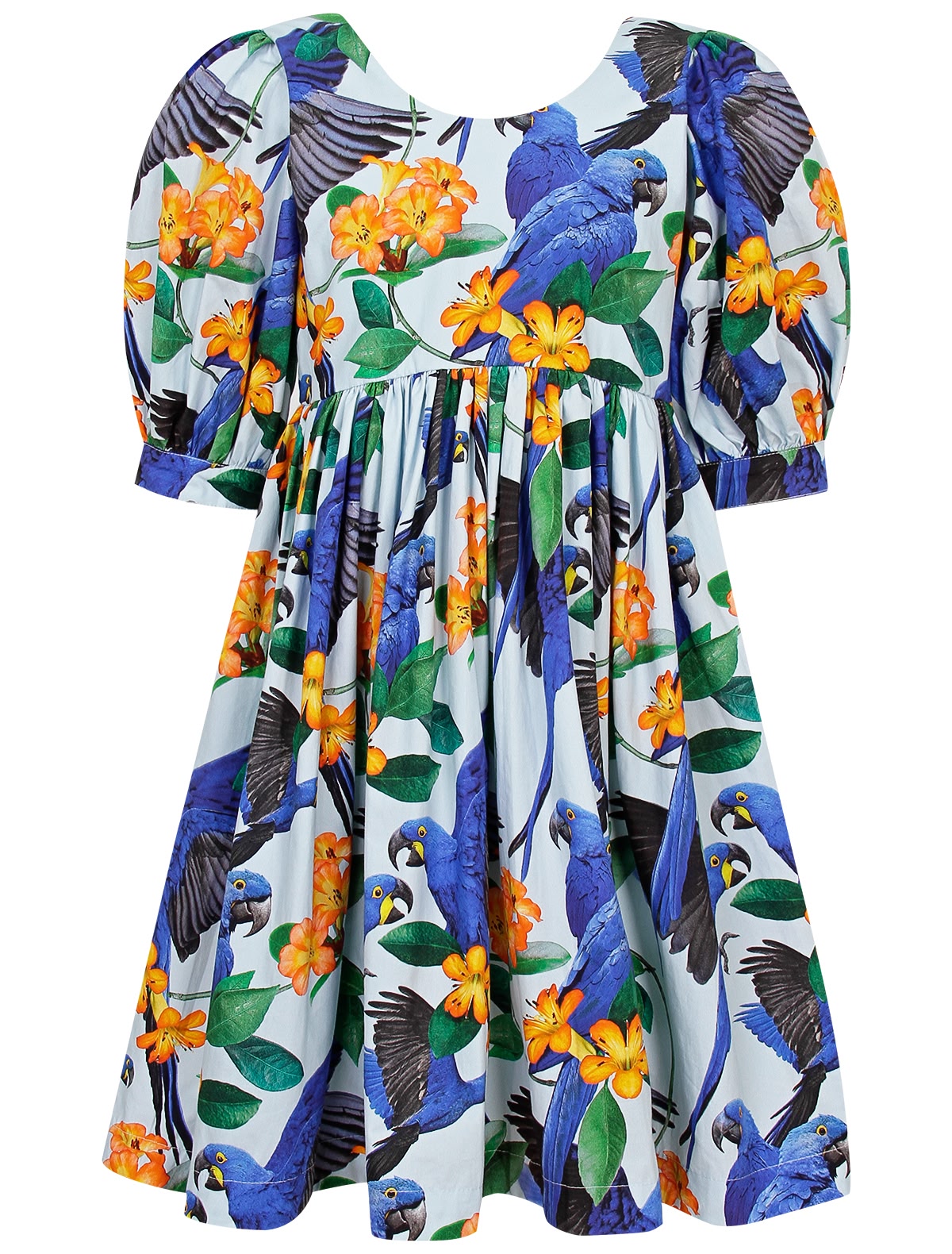 Платье с попугаями