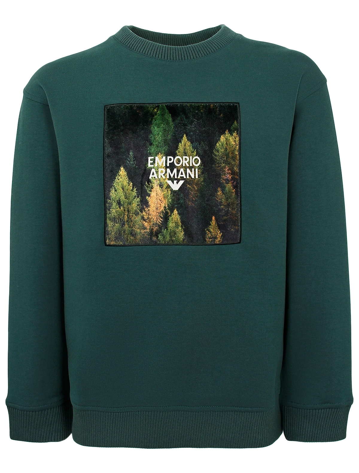 

Свитшот EMPORIO ARMANI, Зеленый, 3081234