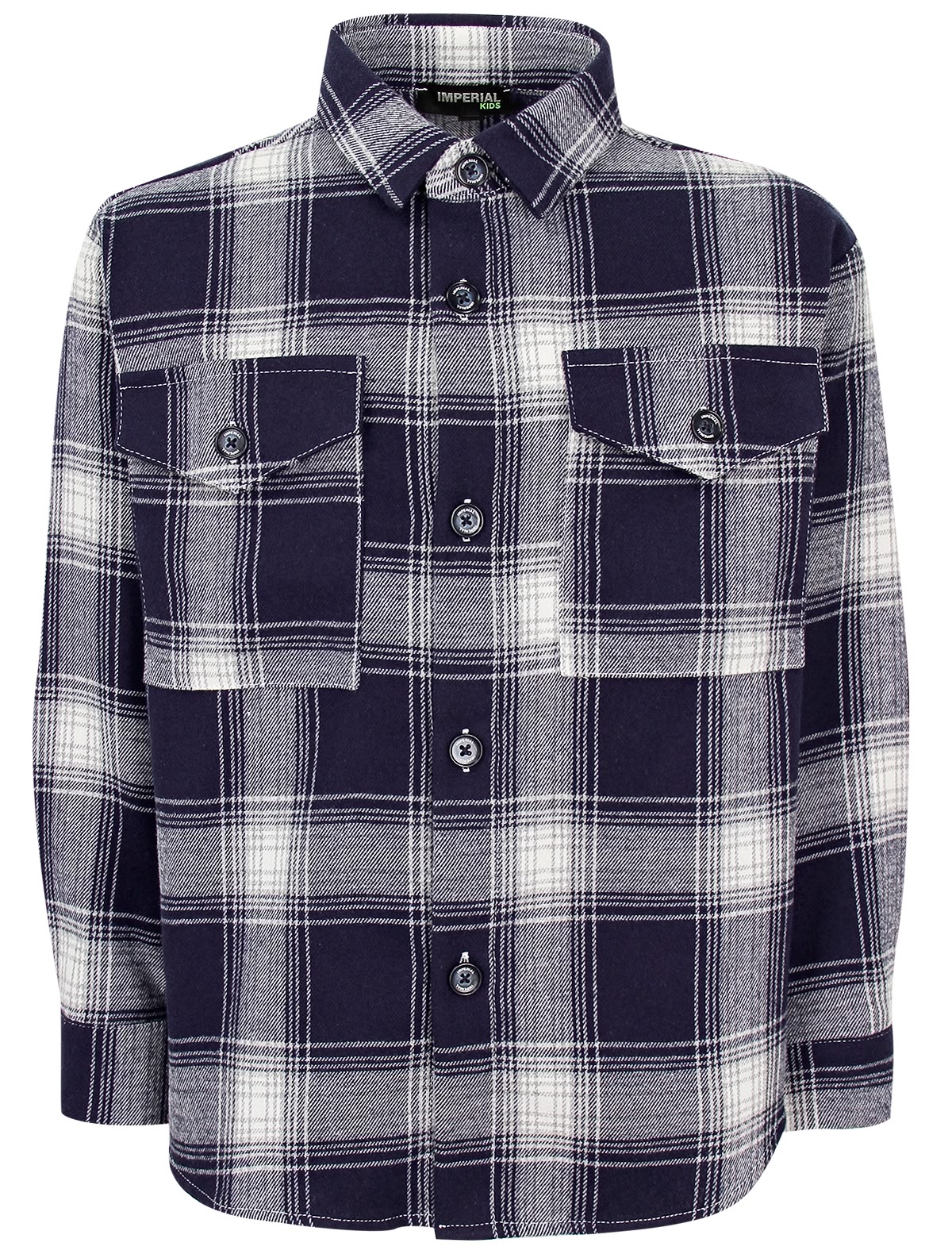 Рубашка в синюю клетку