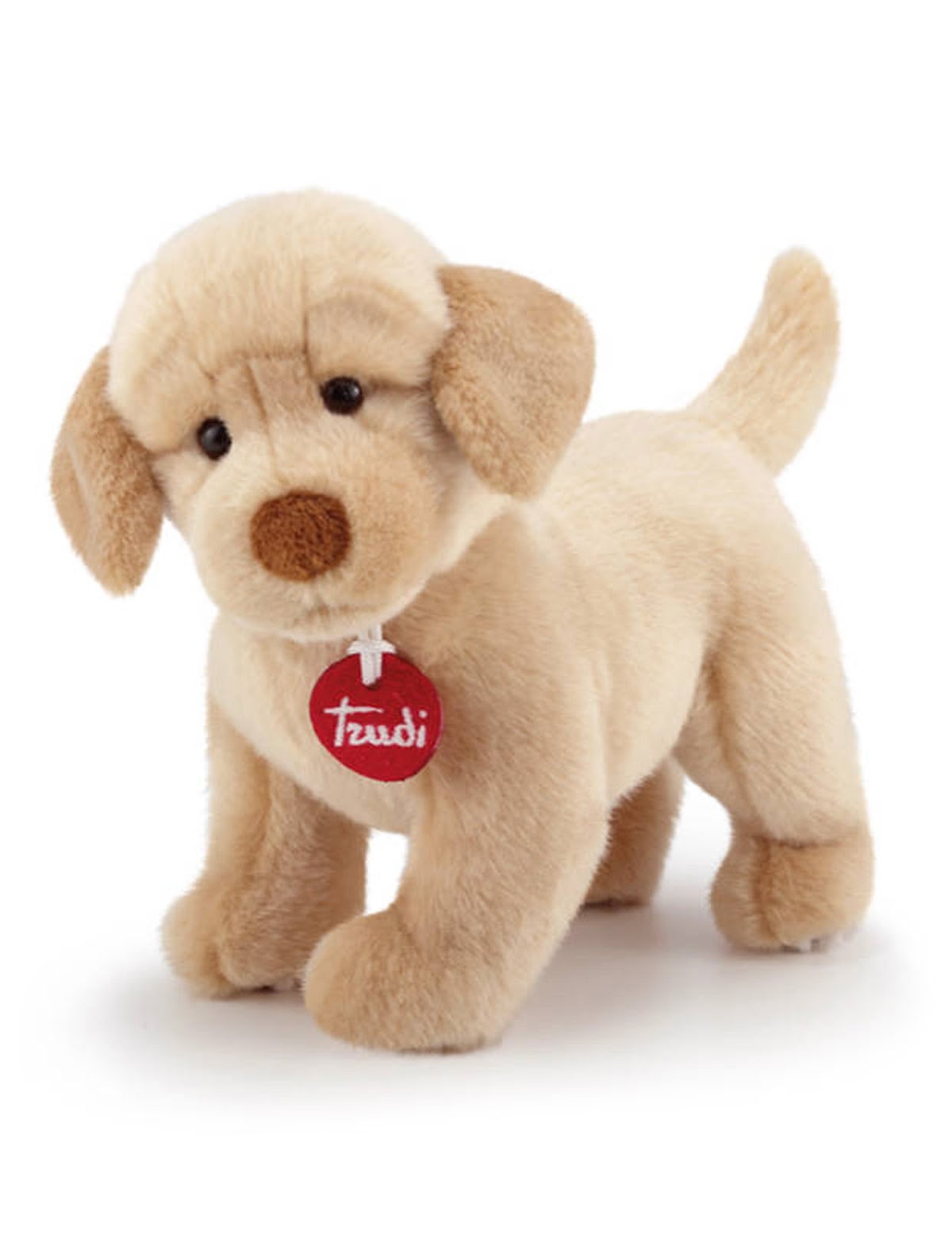 Лабрадор Лиам