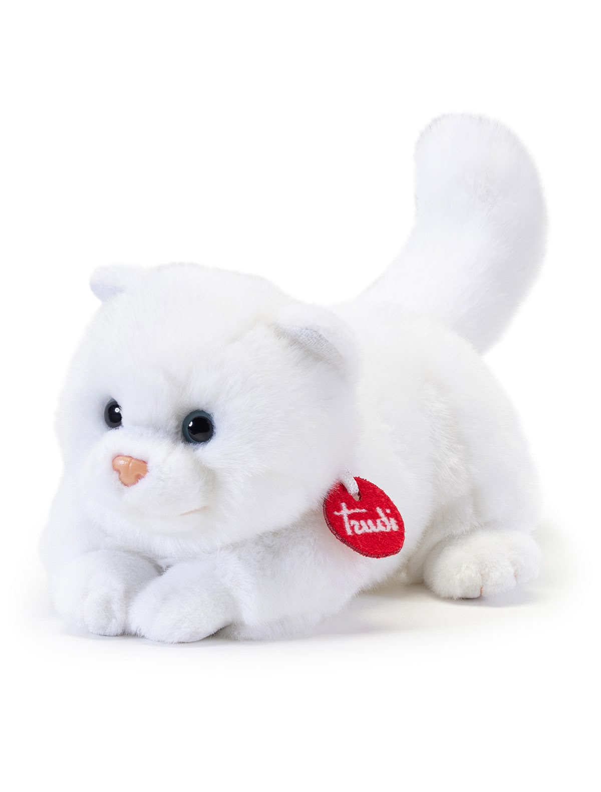 Котенок Брэд