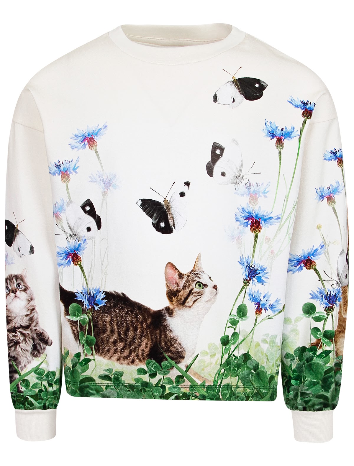 Лонгслив с котёнком и бабочками