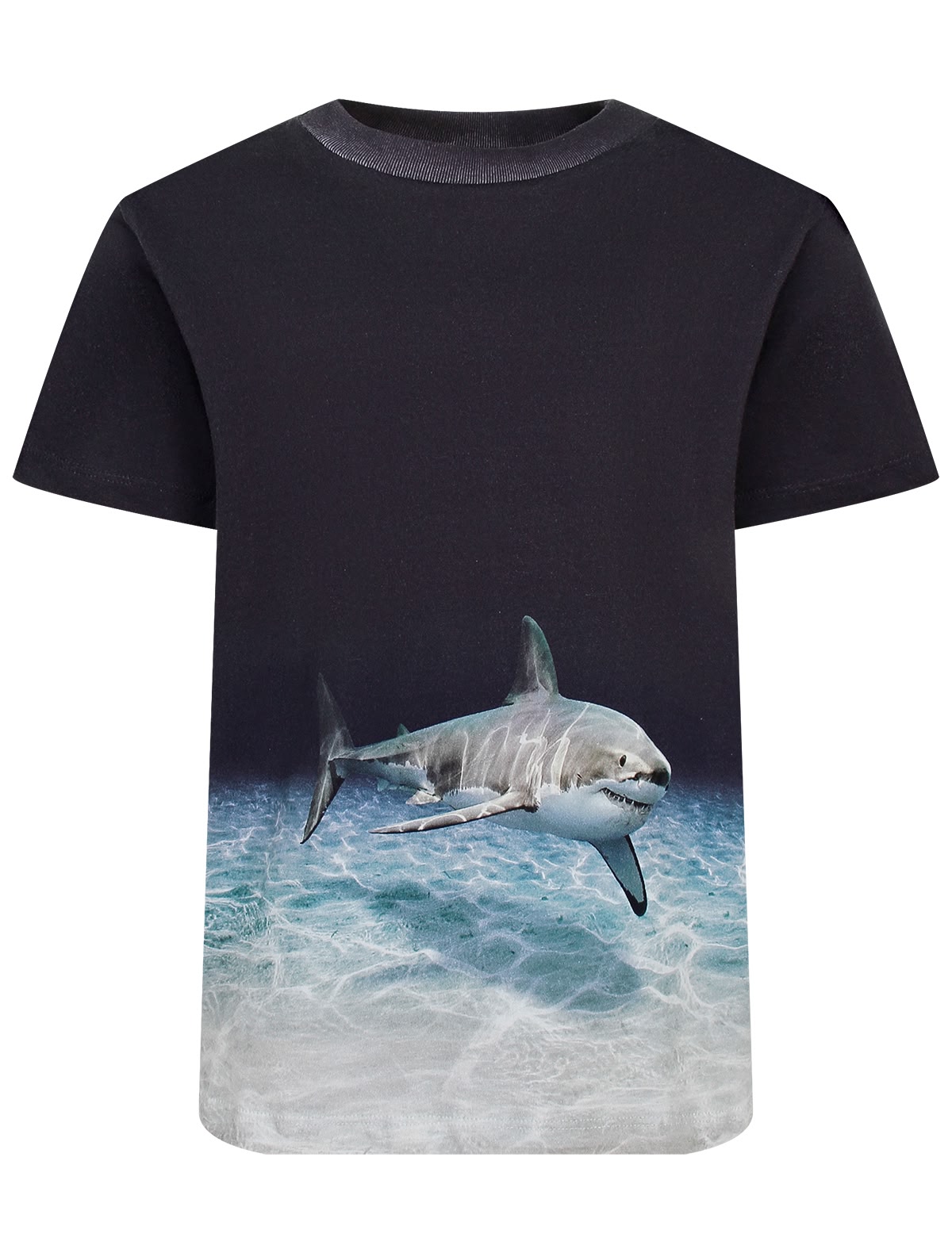 Футболка с принтом Faded Shark