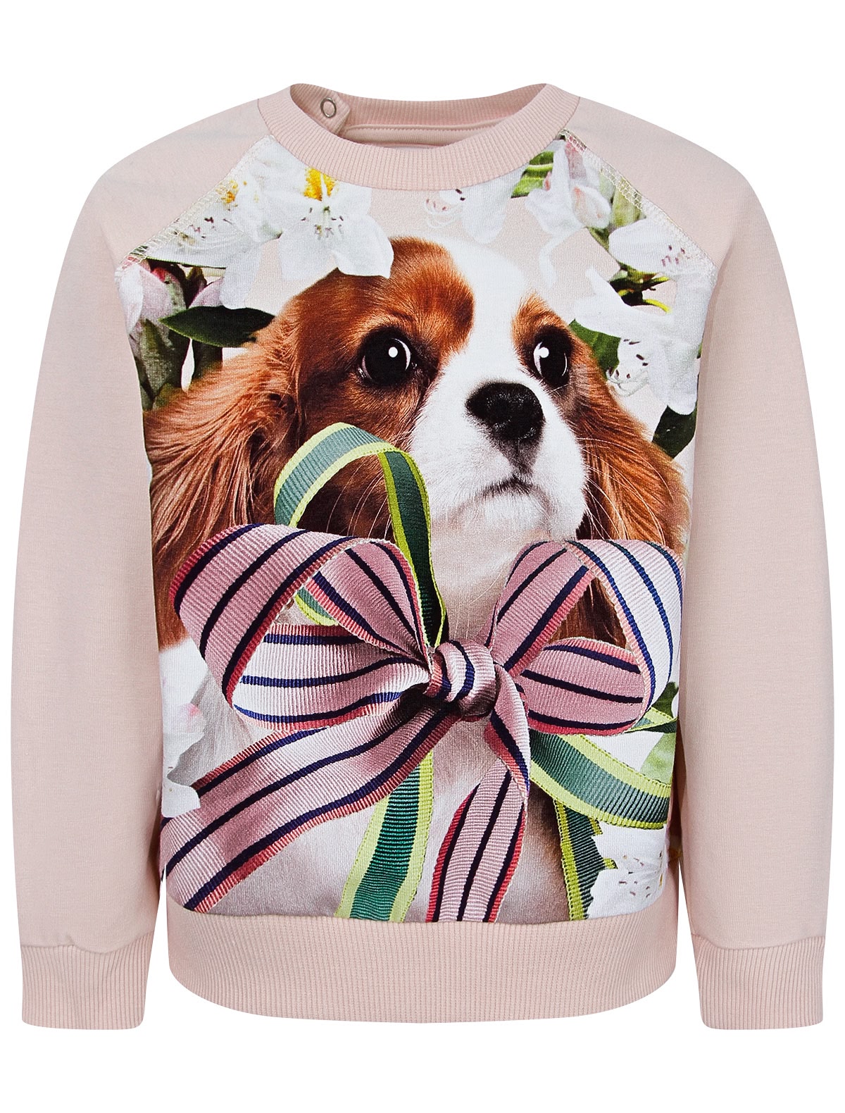 Свитшот из органического хлопка с принтом собачка