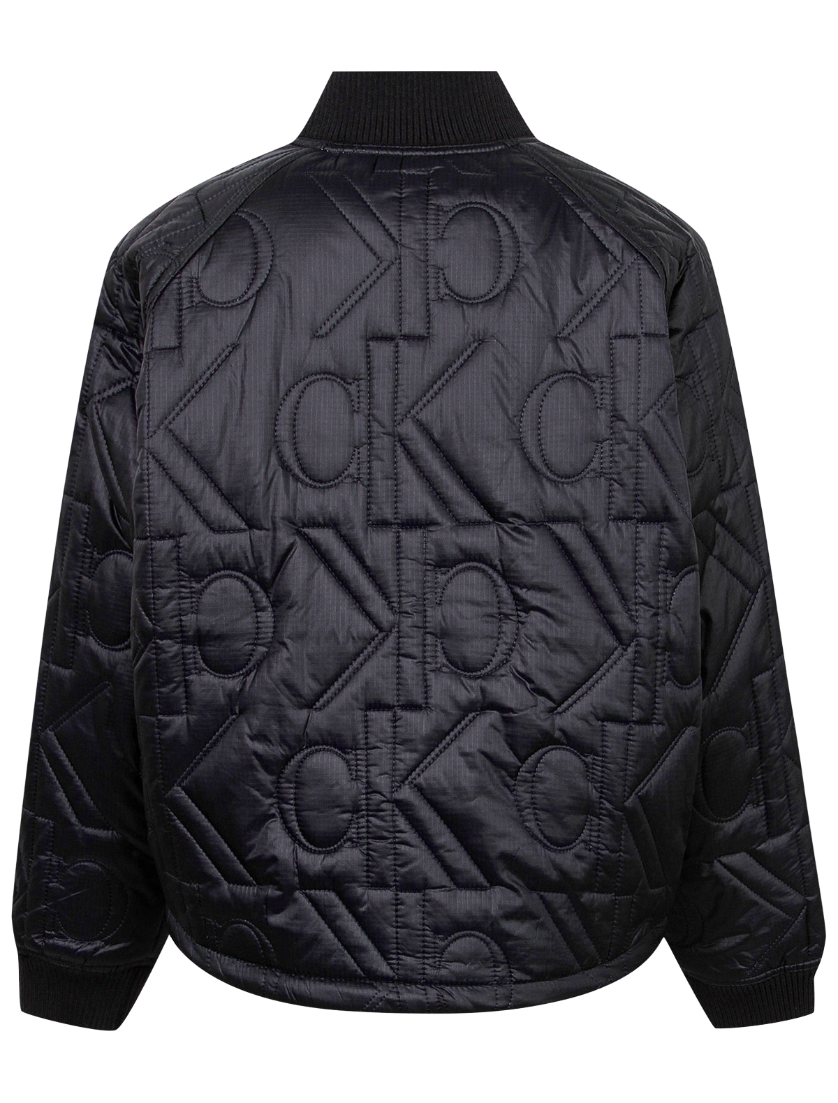 Куртка CALVIN KLEIN JEANS 2196517, цвет черный, размер 9 1074509072157 - фото 2