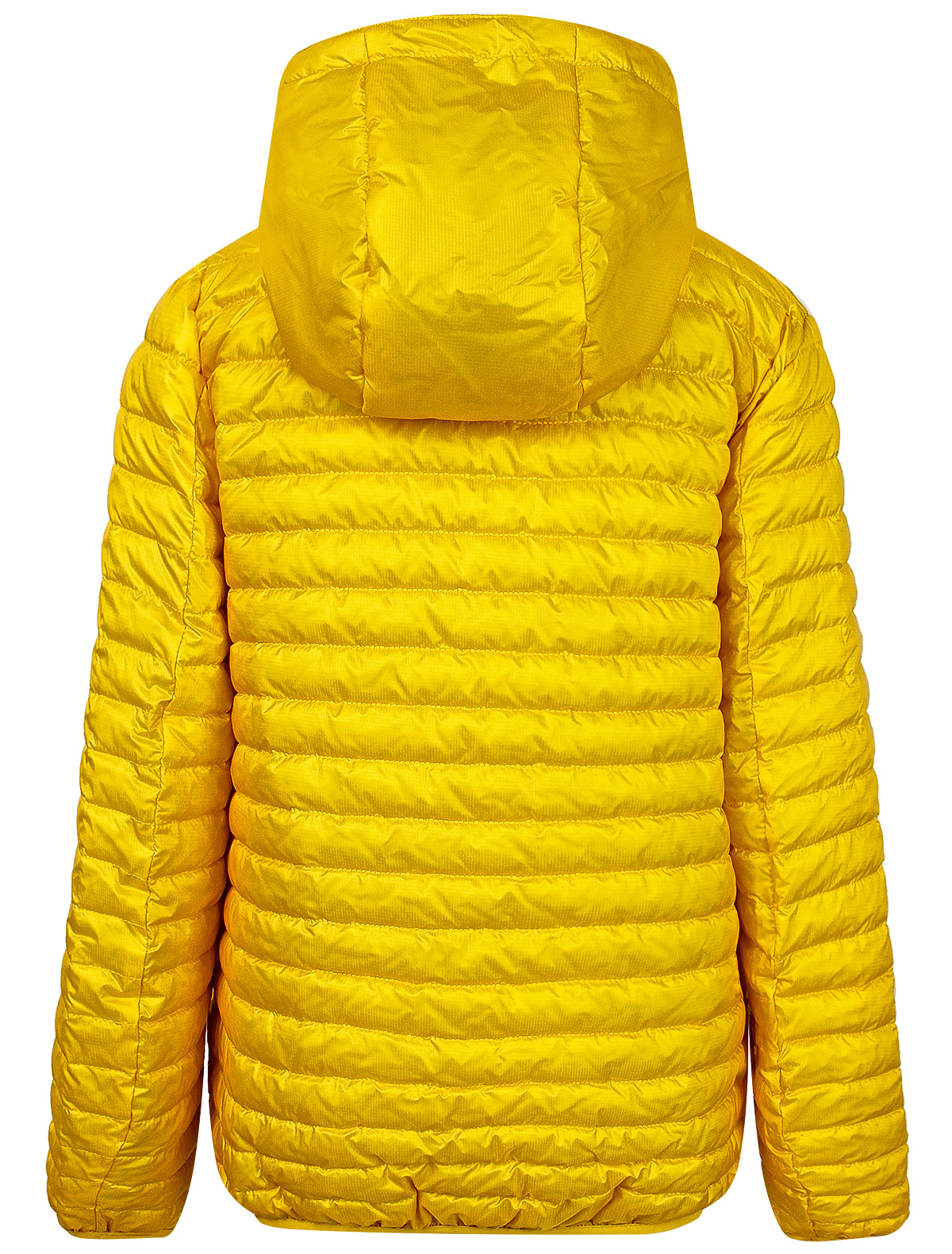 Куртка FREEDOMDAY 2295641, цвет желтый, размер 2 1074529170741 - фото 2