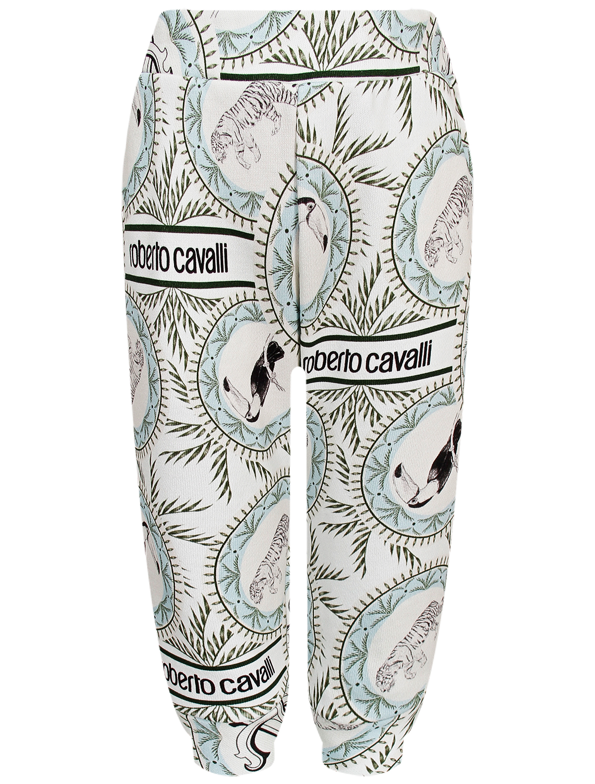 

Брюки спортивные Roberto Cavalli, Голубой, 2768936