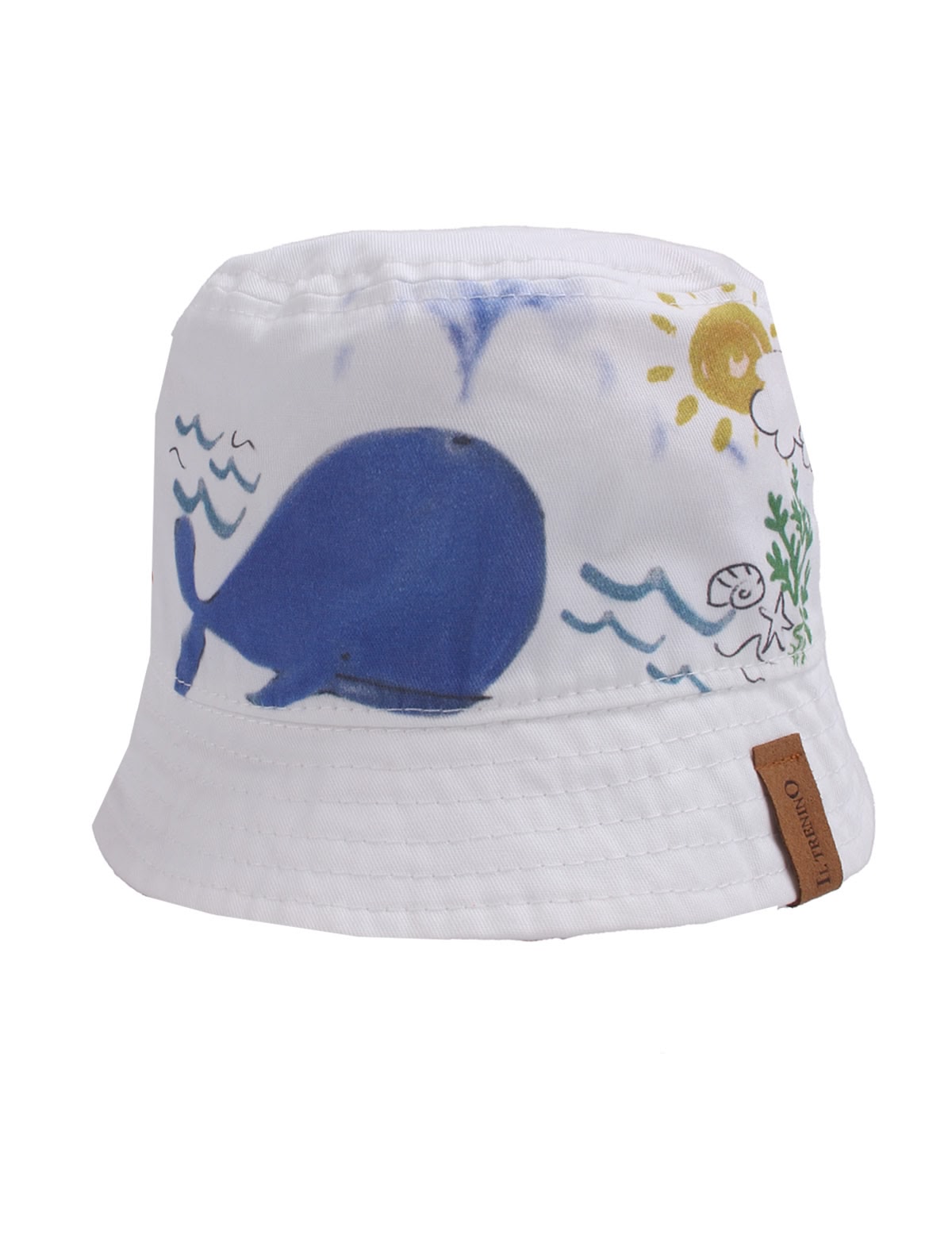 Панама с китом