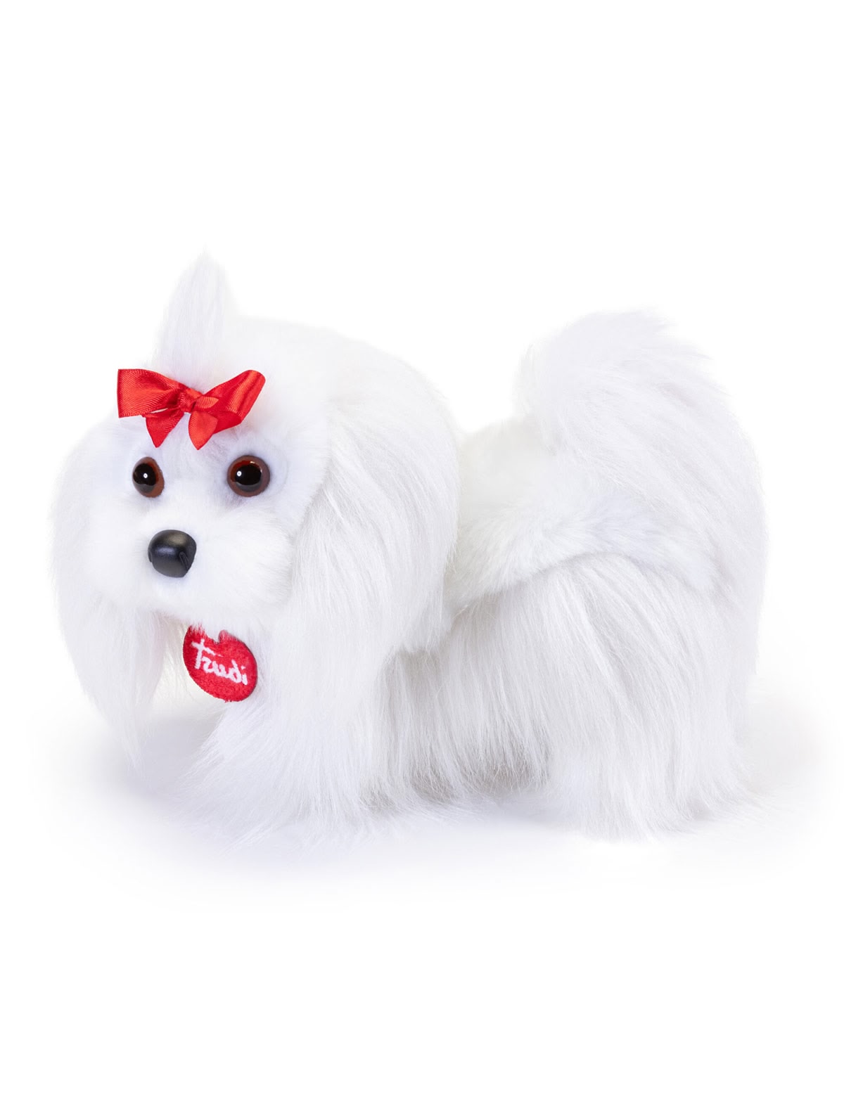 Мальтийская болонка Лулу