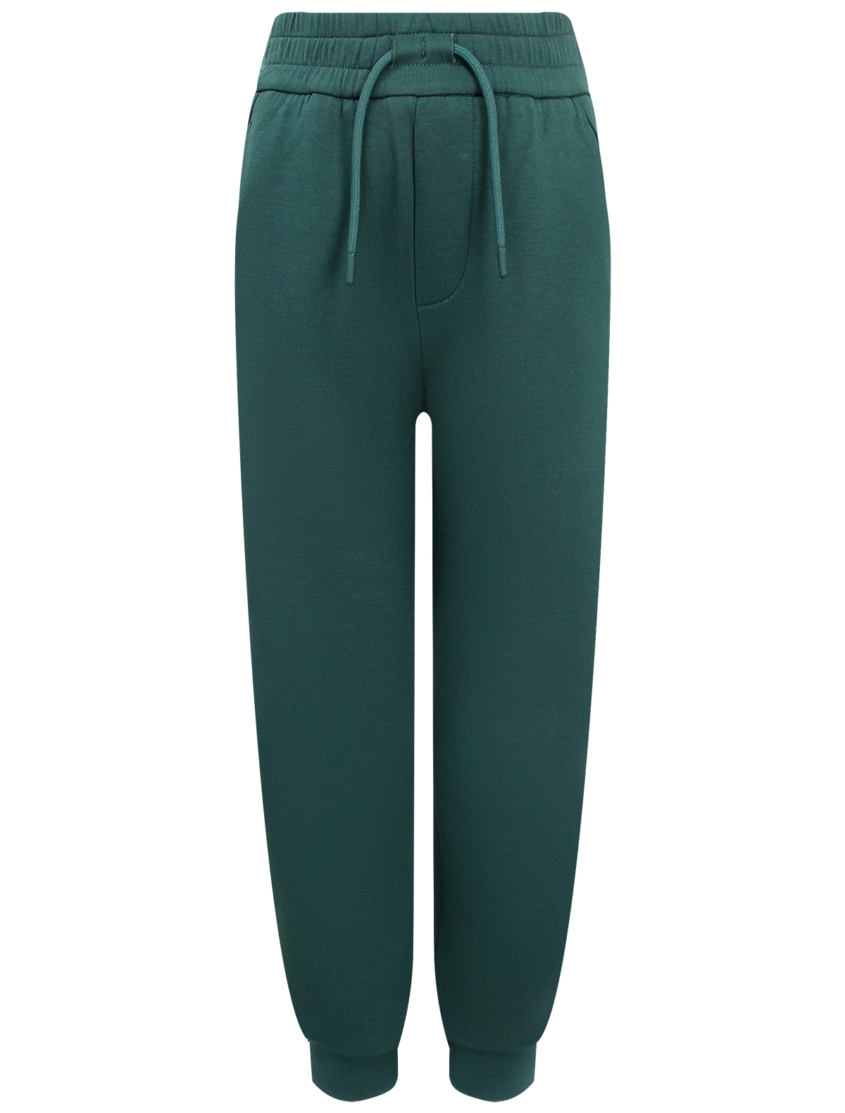 

Брюки спортивные Emporio Armani, Зеленый, 2876163