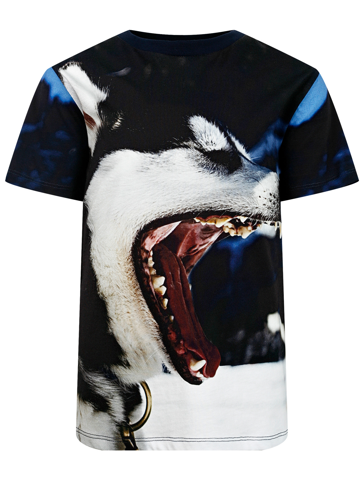 

Футболка MSGM, Синий, 2362974