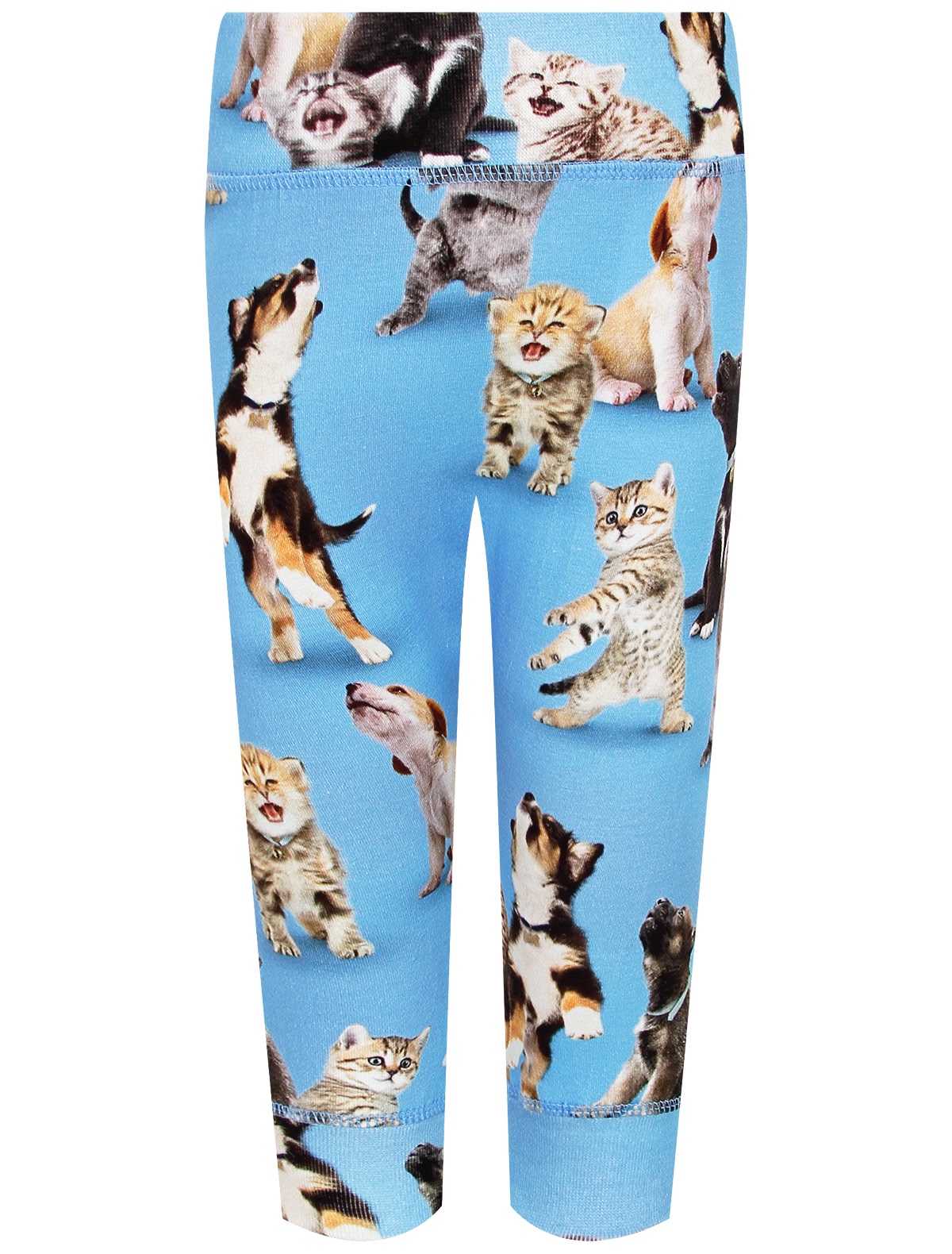 Брюки спортивные с принтом котята