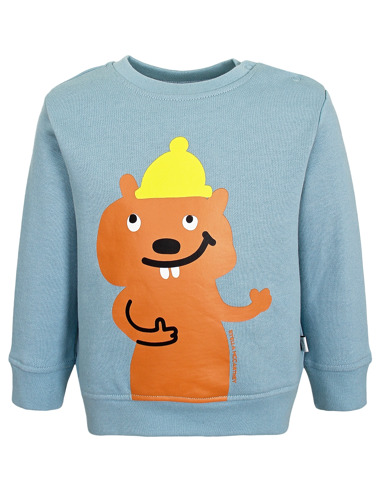 

Свитшот Stella McCartney, Голубой, 3090497