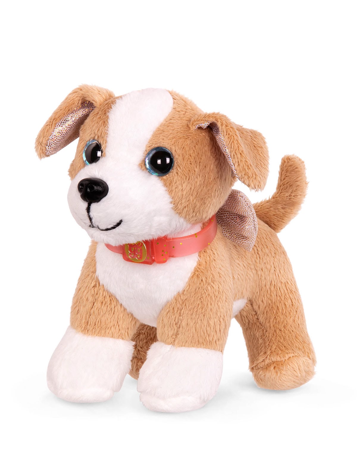 Щенок чихуахуа