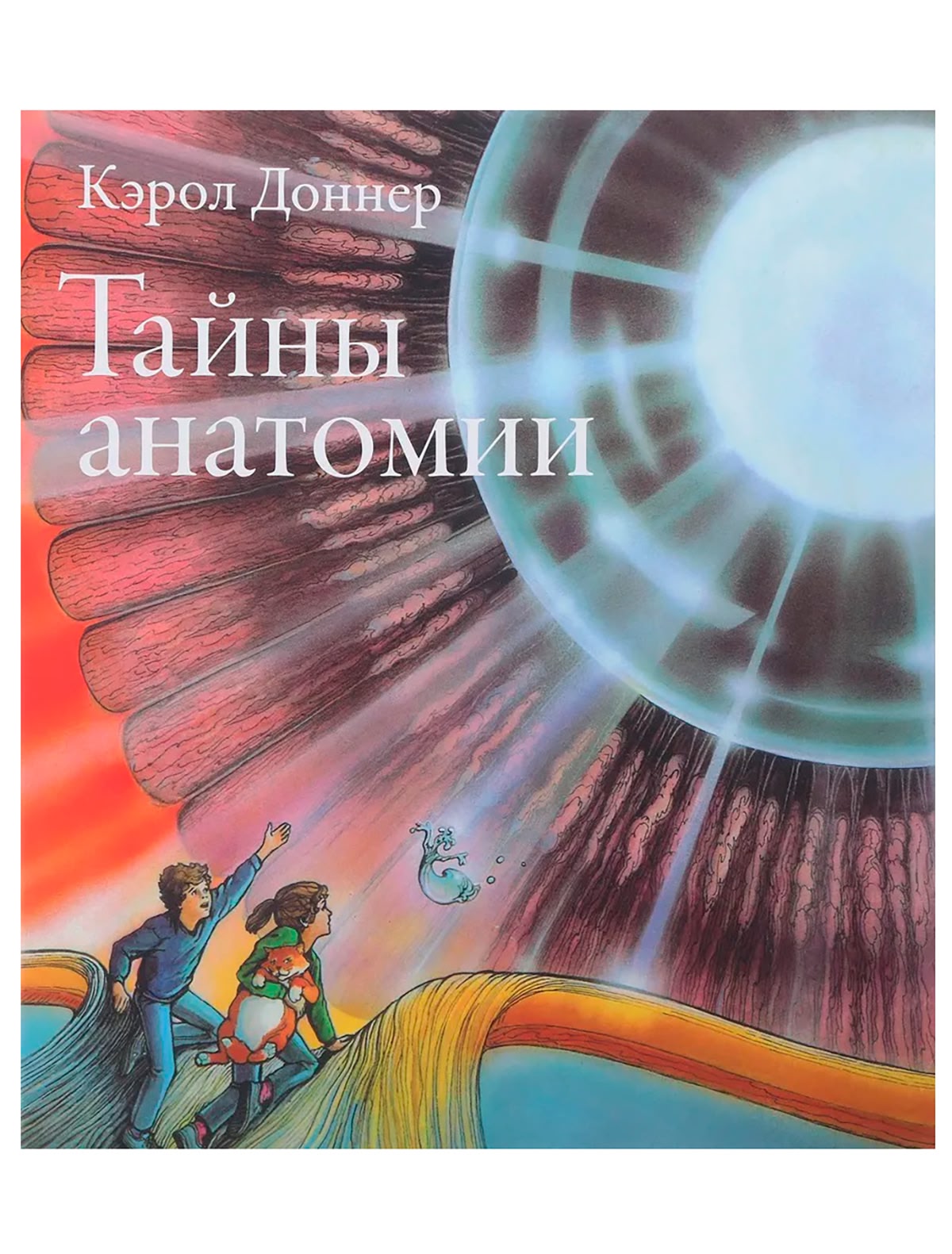 Тайны анатомии