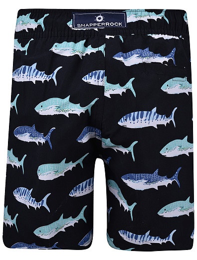 Черные пляжные шорты с акулами SNAPPER ROCK - 4101119970416 - Фото 3