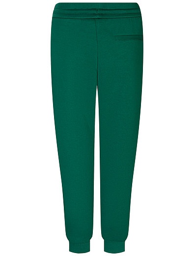 Зелёные спортивные брюки EMPORIO ARMANI - 4244519284469 - Фото 2