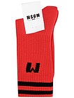 Красные носки с черными полосками - 1531329980067