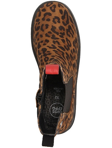 Ботинки-челси с леопардовым рисунком GIOSEPPO - 2034509282009 - Фото 4