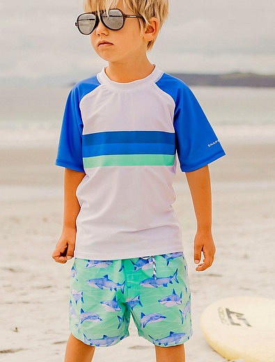 Пляжные шорты с принтом акулы SNAPPER ROCK - 4104519271343 - Фото 5