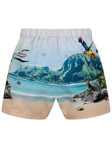 Пляжные шорты с принтом море MOLO - 4104509170359 - Фото 2