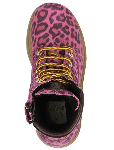 Розовые леопардовые ботинки GALLUCCI - 2034509181487 - Фото 4