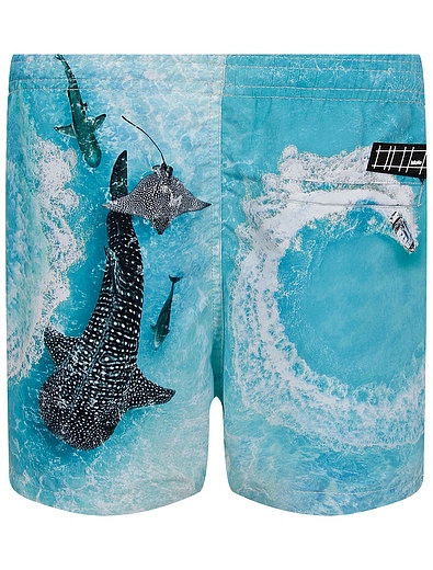 Пляжные шорты с китом MOLO - 4104519273316 - Фото 2