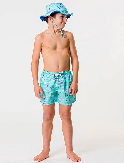 Пляжные шорты с принтом акулы SNAPPER ROCK - 4104519271343 - Фото 2