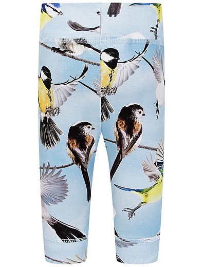 Спортивные брюки с принтом птицы MOLO - 4244529180010 - Фото 2