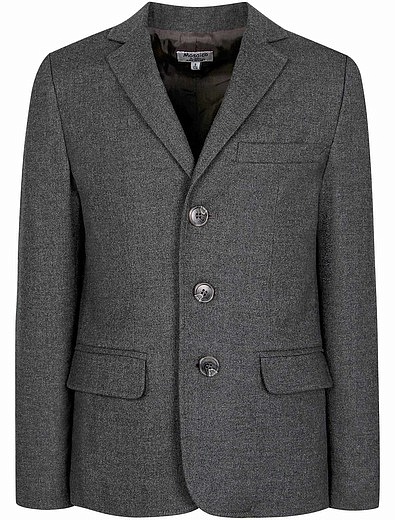 Серый пиджак классического кроя Aletta - 1331719880010 - Фото 1