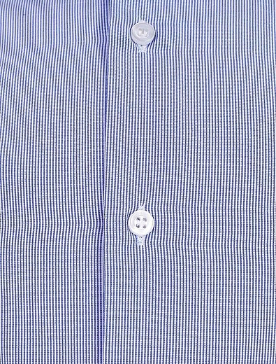 Голубая рубашка в полоску Malip - 1011519880242 - Фото 2
